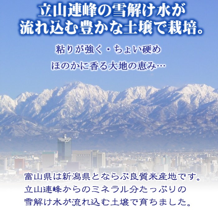 富山県産コシヒカリ　米　10キロ R5年度　8月下旬精米 コシヒカリ 富山県産 10kg 令和6年産 白米 5kg×2袋 : 米屋の