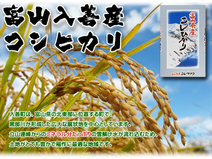 米　10kg 富山県産コシヒカリ　令和5年白米 コシヒカリ 富山県産 10kg 令和6年産 白米 5kg×2袋 : 米屋の