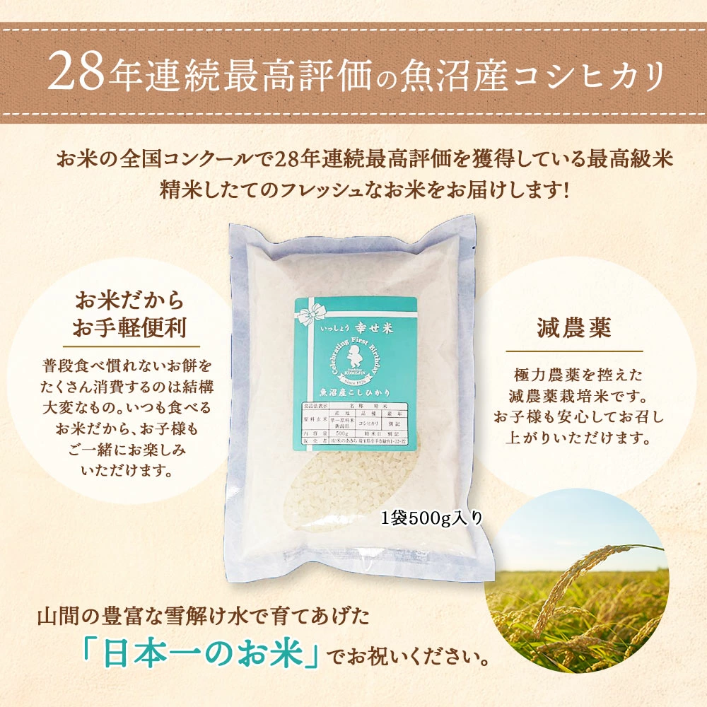 一升餅 一升米 1歳 誕生日 お祝い ギフト セット 男の子 女の子 小分け 餅 米 赤飯 アンパンマン リュック 風呂敷 名入れ 選びとり カード 送料無料