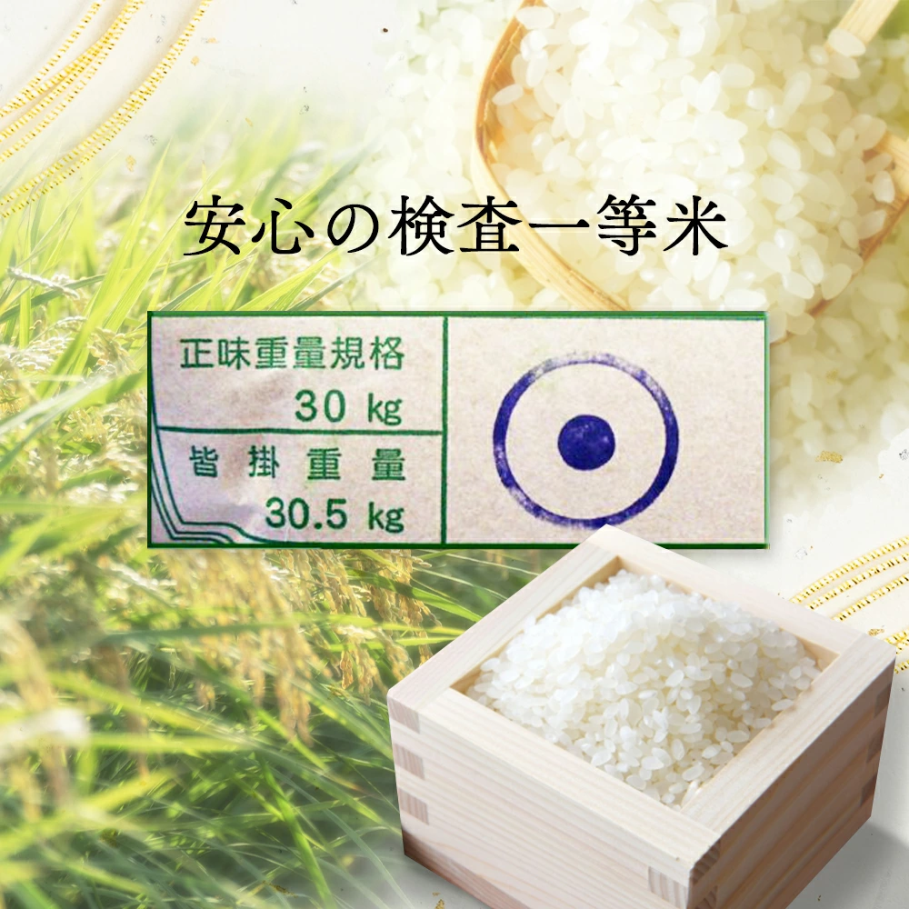 いのちの壱のおすすめ人気商品一覧 通販 - Yahoo!ショッピング