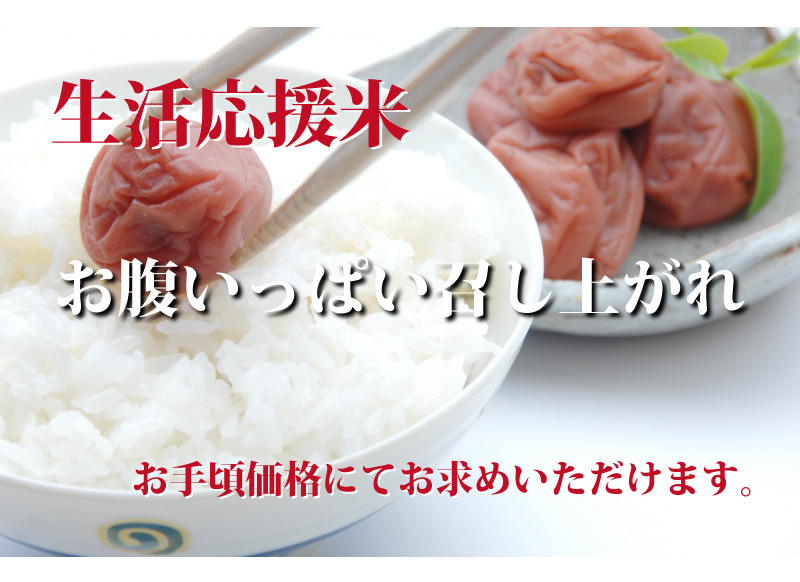 定期便】福井米 白米 20kg(10kg×2) 福井県産米100％ブレンド米