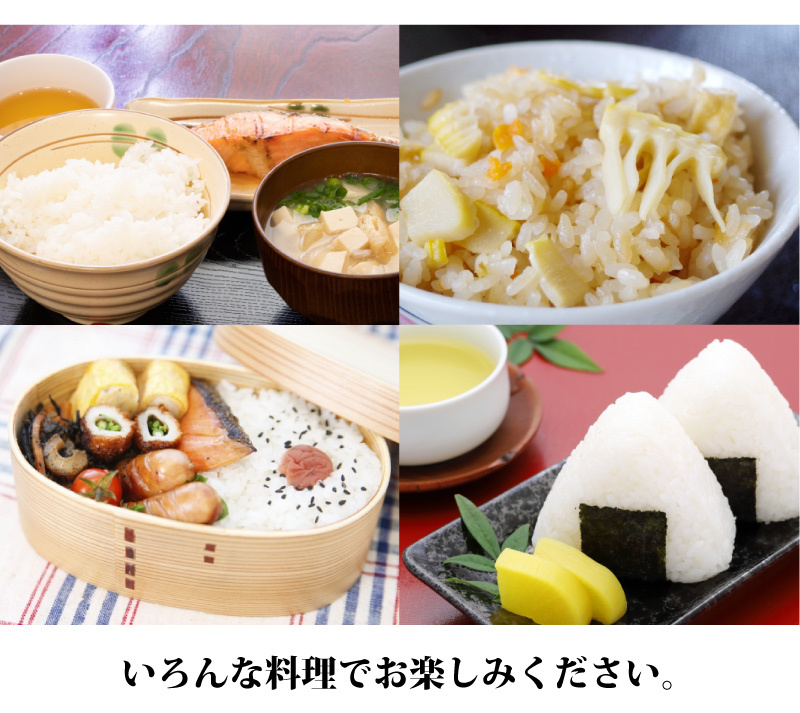 令和7年産 福井県産あきさかり20kg 単一原料米 白米 安い ブランド米