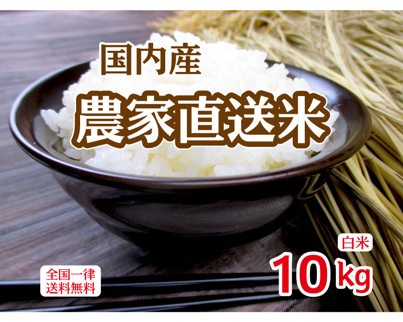 農家直送米 国内産100％ ブレンド米 10kg 白米 安い 10kg×1 複数