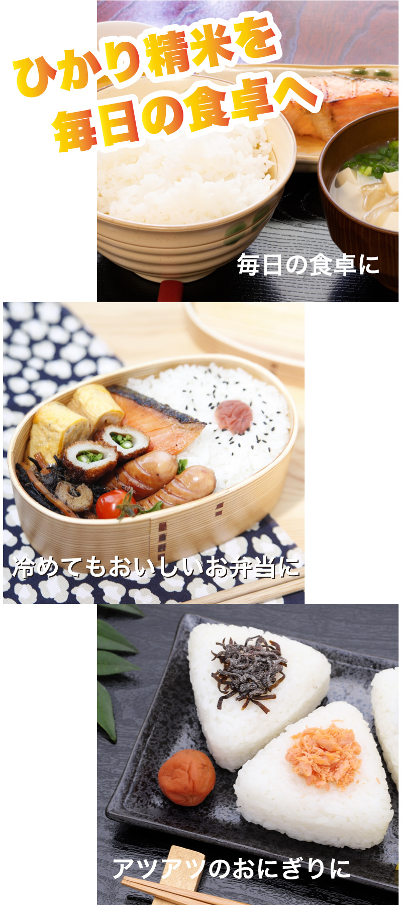 ひかり精米 24kg (8kg×3)