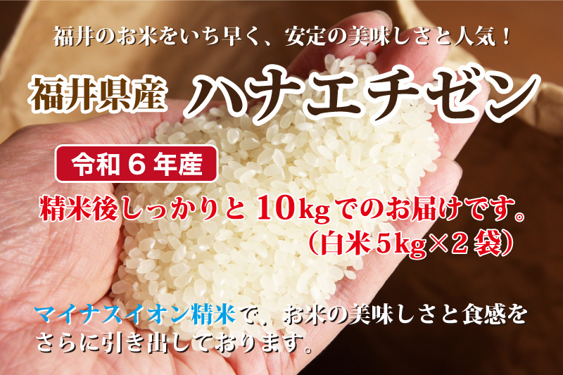 ハナエチゼン 令和6年産 福井県産ハナエチゼン 10kg 白米 安い