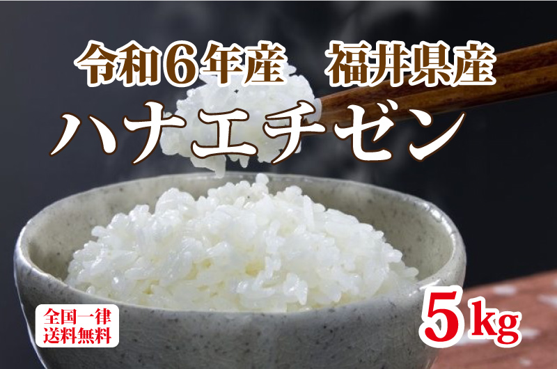 楽天市場】ハナエチゼン（米・雑穀｜食品）の通販