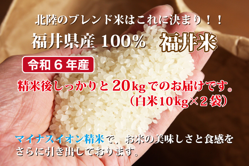 定期便】福井米 白米 20kg(10kg×2) 福井県産米100％ブレンド米