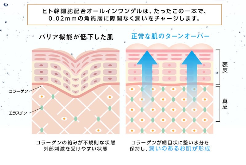 ヒト幹細胞 オールインワン 美白ゲル