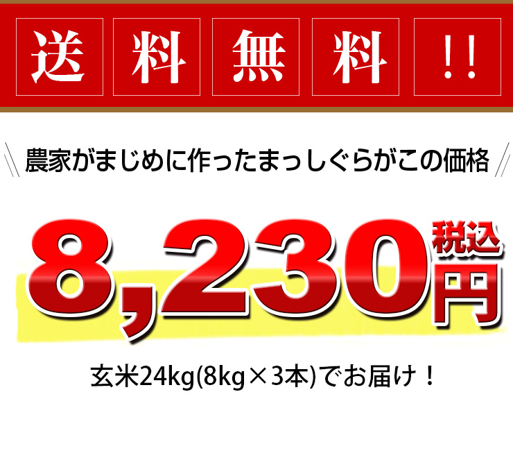 57％以上節約 4年産 青森県産まっしぐら白米24kg 8kg×3 fisd.lk