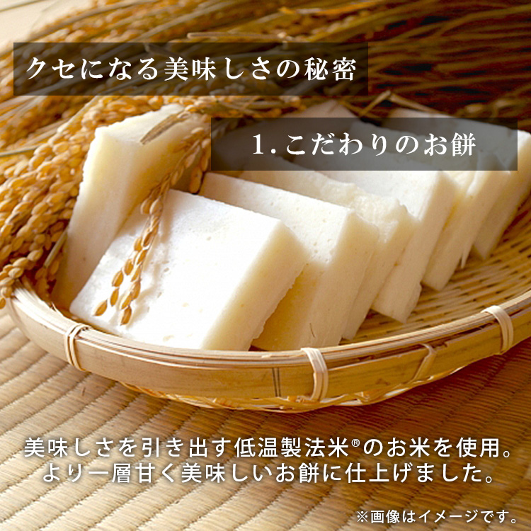 おもち IRIS OHYAMA 餅 いなりあげもち お餅 いなりもち いなり餅 10個