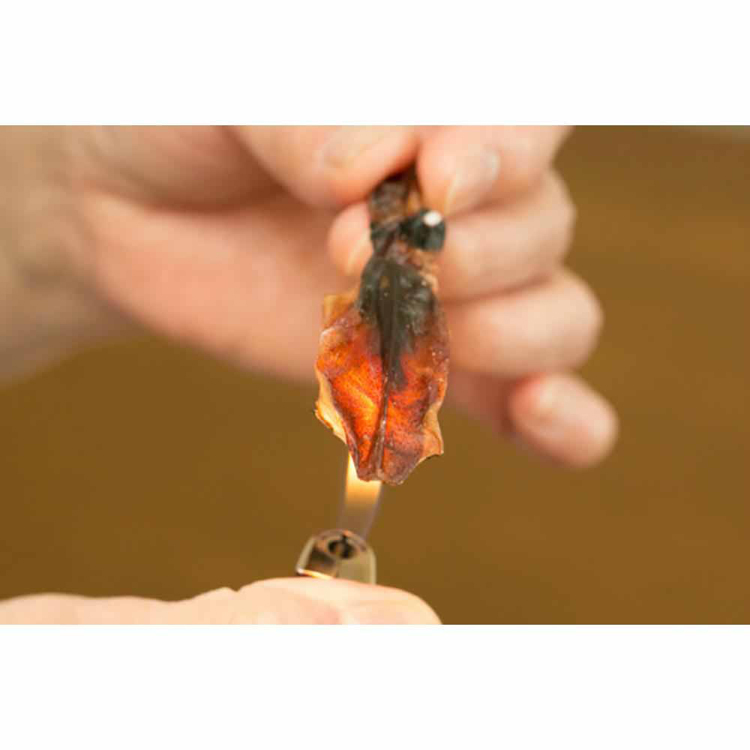 ホタルイカ素干し日本海干物つまみ肴送料無料たっぶり手間ひま炙りほたるいか素干し無添加70gTokka 