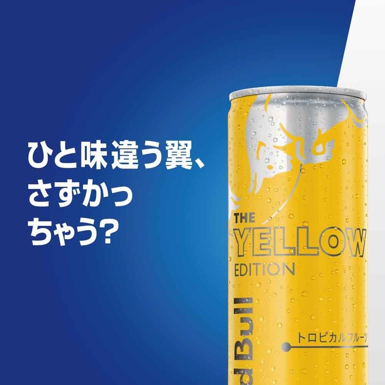レッドブルエナジードリンクカフェイン栄養ドリンクRedBull炭酸炭酸飲料48本250mlまとめ買い【48本】レッドブル250mlレッドブル 