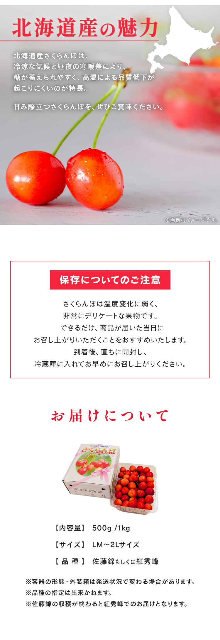 さくらんぼ 北海道 産地直送 旬 農産 フルーツ ギフト 甘い 佐藤錦 紅