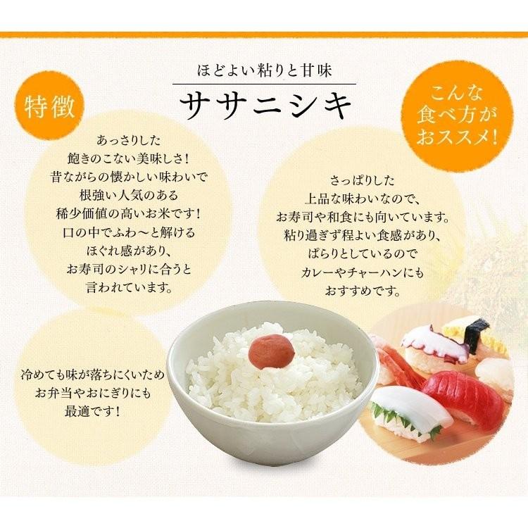 Amazon.co.jp: 宮城県産ササニシキ 10kg(5kg×2) 令和4年産