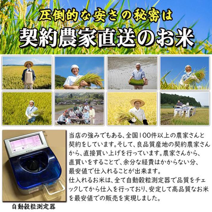 米 新米 玄米20kg 令和4年産  新潟県 コシヒカリ 棚田 お米 20kg 白米 玄米