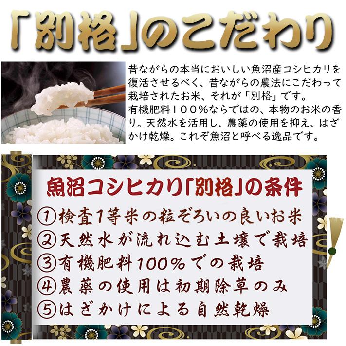 米 新米 10kg 令和4年産 新潟県魚沼産コシヒカリ お米 コシヒカリ 10kg 白米