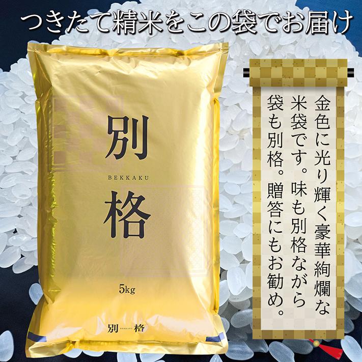 米 令和5年 お米 10kg 新潟県魚沼産コシヒカリ 「別格」 白米10kg（5kg