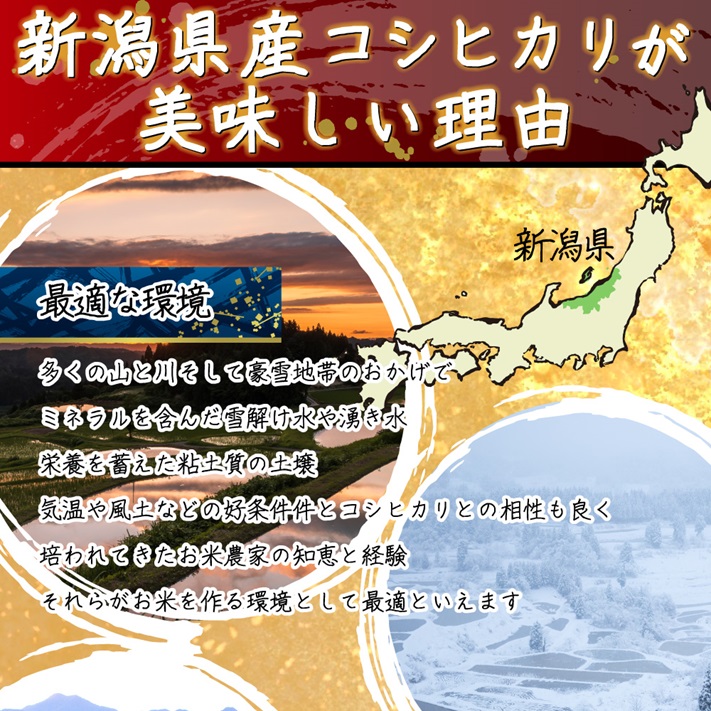 米 新米 令和6年 お米 5kg 新潟県 コシヒカリ 新潟コシヒカリ こしひかり  白米5kg 安い 最安値  ｜ 米 おこめ お米 5kg 白米 送料無料