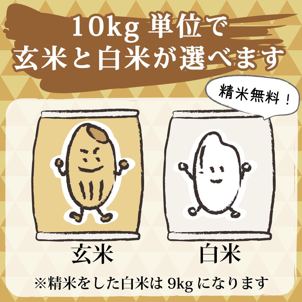 新米セール！先着100名限定！今だけ2,000円引き】令和6年産新米 新米 令和6年 30kg コシヒカリ 新潟県安塚産棚田米 コシヒカリ 玄米30kg  ｜ 玄米 米 お米｜ : nyk-30 : 農家からの贈り物 - 通販 - Yahoo!ショッピング