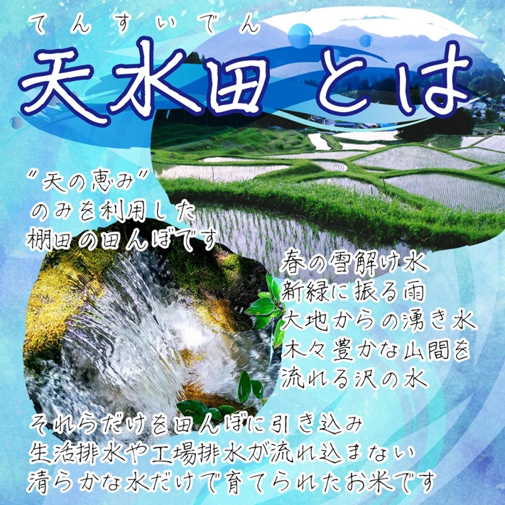 米 新米 令和6年 お米 5kg 新潟県天水田 コシヒカリ 白米5kg 天然雪解け水と湧き水で育てた 棚田米 ｜ 米 おこめ お米 5kg 白米 送料無料