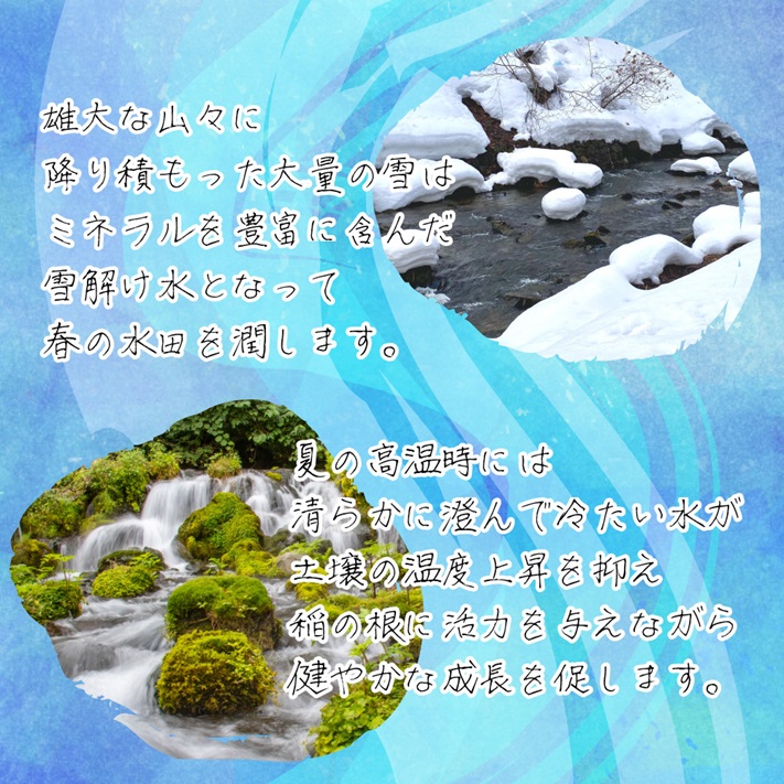 米 新米 令和6年 お米 5kg 新潟県天水田 コシヒカリ 白米5kg 天然雪解け水と湧き水で育てた 棚田米 ｜ 米 おこめ お米 5kg 白米 送料無料