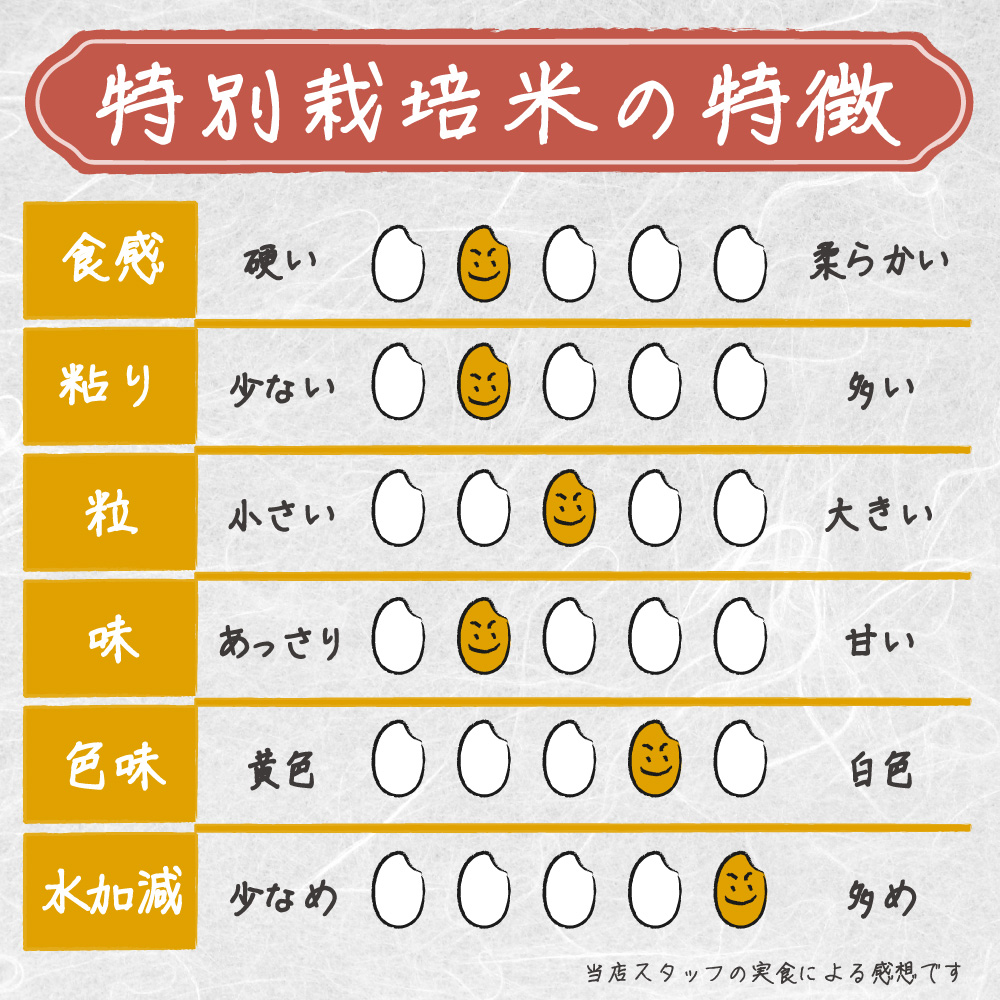 米 新米 令和6年 お米 10kg 特別栽培 特別栽培米 農薬9割減 農薬節減 減農薬 無農薬 愛知 ｜ 米 おこめ お米 10kg 白米 送料無料
