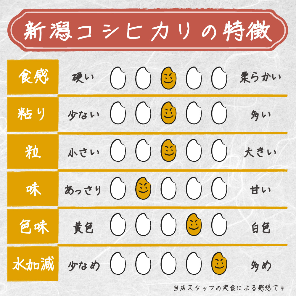 米 新米 令和6年 お米 5kg 新潟県 コシヒカリ 新潟コシヒカリ こしひかり  白米5kg 安い 最安値  ｜ 米 おこめ お米 5kg 白米 送料無料