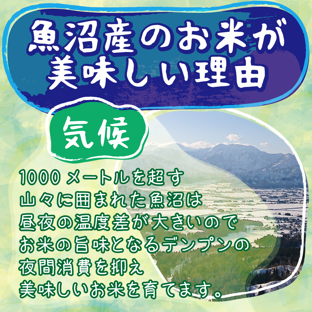 米 新米 令和6年 お米 20kg 新潟県 魚沼産コシヒカリ 魚沼産 しおざわ 塩沢 魚沼コシヒカリ 白米20kg 玄米20kg 米 おこめ お米 20kg 白米 送料無料