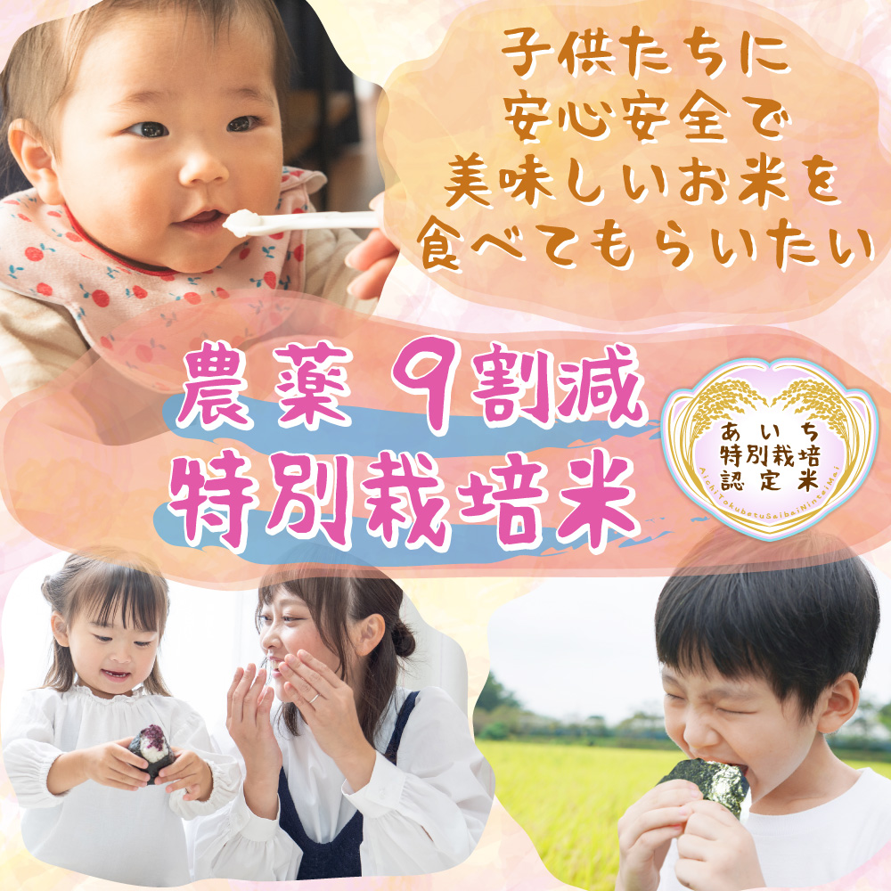 米 新米 令和6年 お米 10kg 特別栽培 特別栽培米 農薬9割減 農薬節減 減農薬 無農薬 愛知 ｜ 米 おこめ お米 10kg 白米 送料無料