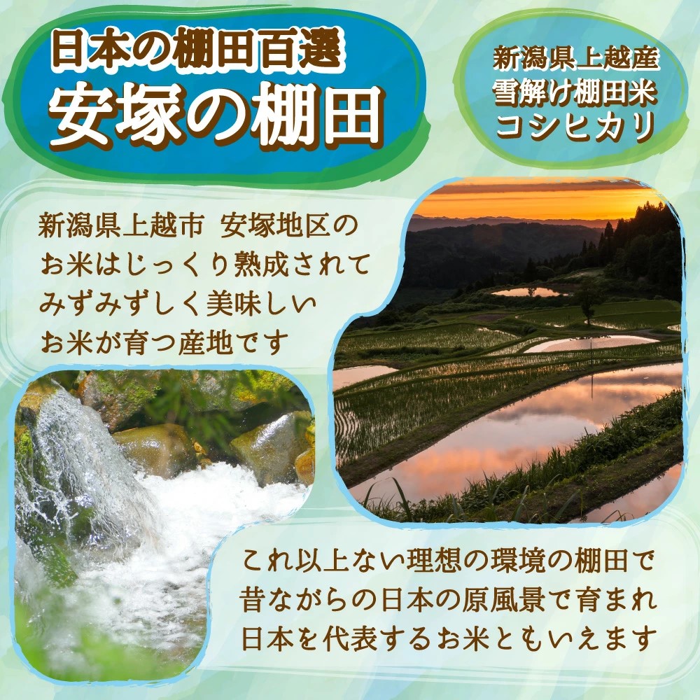 米 新米 令和6年 お米 10kg 新潟県 コシヒカリ 上越産 安塚コシヒカリ 白米30kg 玄米30kg 米 おこめ お米 30kg 白米 送料無料