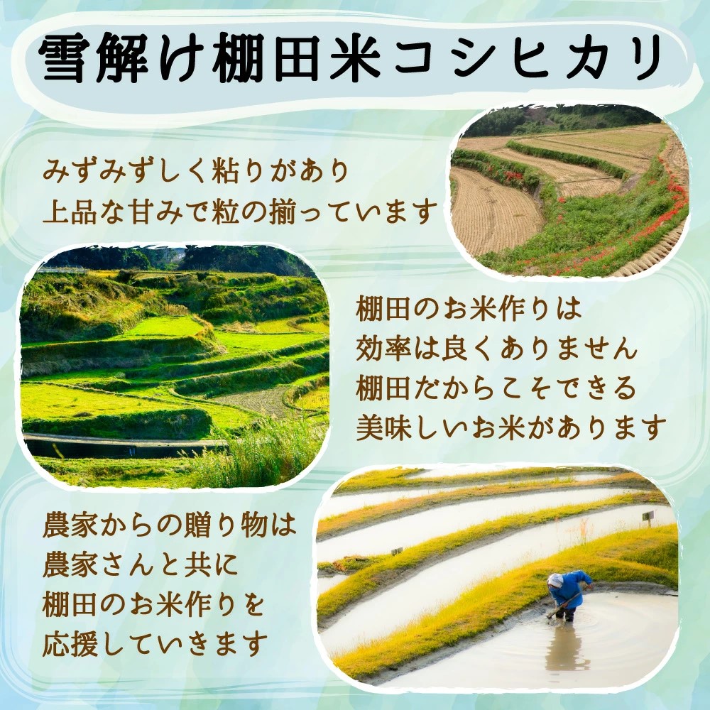 米 新米 令和6年 お米 10kg 新潟県 コシヒカリ 上越産 安塚コシヒカリ 白米30kg 玄米30kg 米 おこめ お米 30kg 白米 送料無料