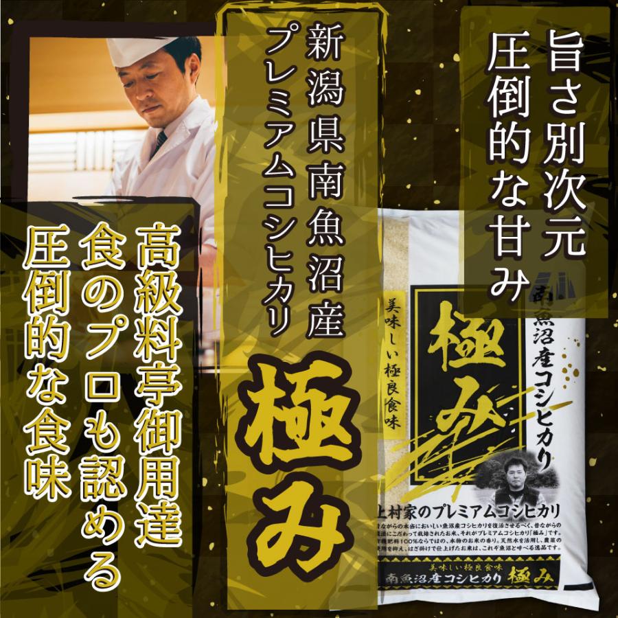 米 令和6年新米 送料無料 新潟県 南魚沼 しおざわ産プレミアムコシヒカリ 玄米30kg ご飯 お米　魚沼産コシヒカリ