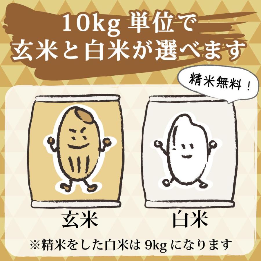 米 令和6年新米 送料無料 新潟県 南魚沼 しおざわ産プレミアムコシヒカリ 玄米30kg ご飯 お米　魚沼産コシヒカリ