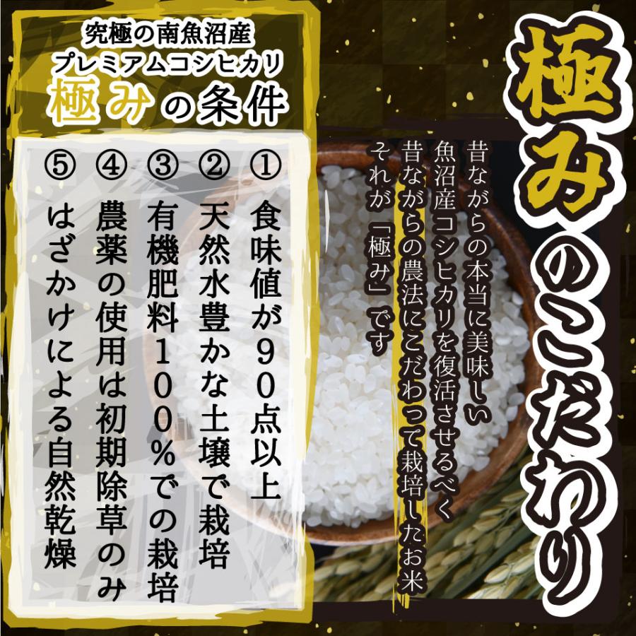 米 令和6年新米 送料無料 新潟県 南魚沼 しおざわ産プレミアムコシヒカリ 玄米30kg ご飯 お米　魚沼産コシヒカリ