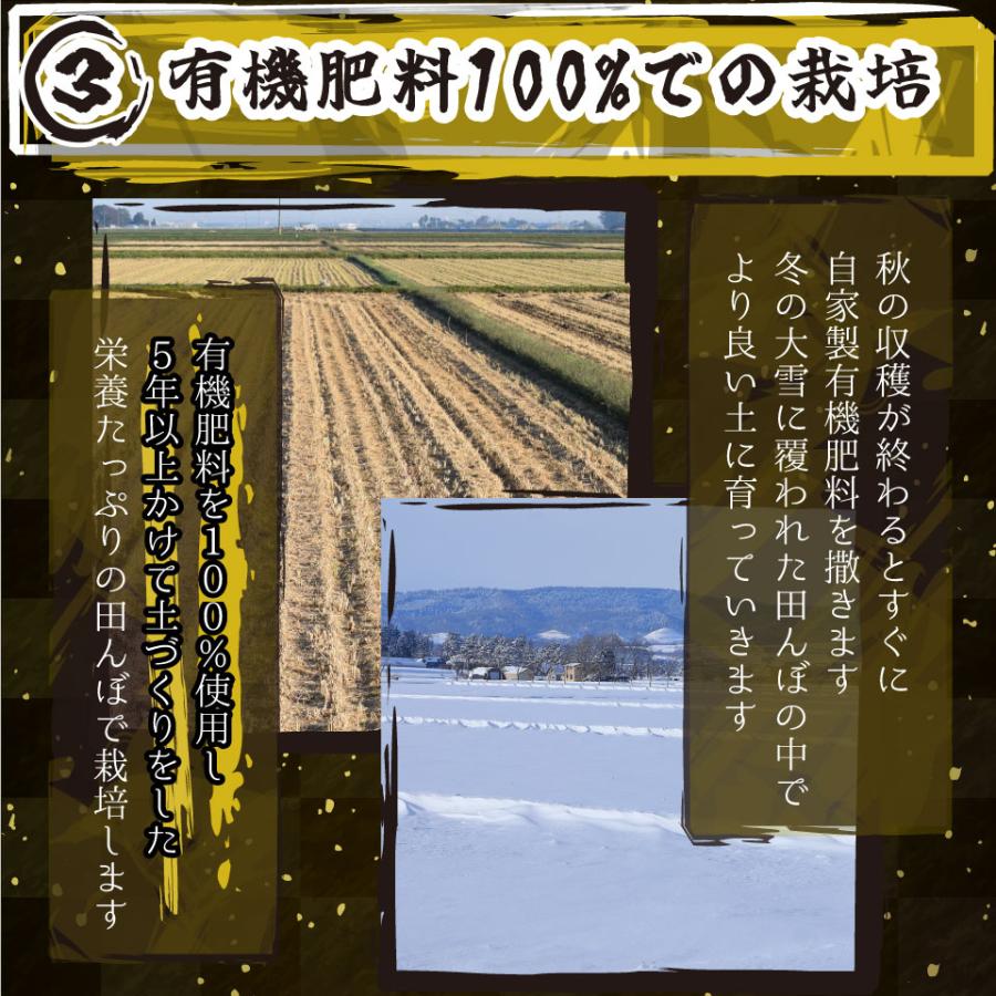 米 令和6年新米 送料無料 新潟県 南魚沼 しおざわ産プレミアムコシヒカリ 玄米30kg ご飯 お米　魚沼産コシヒカリ