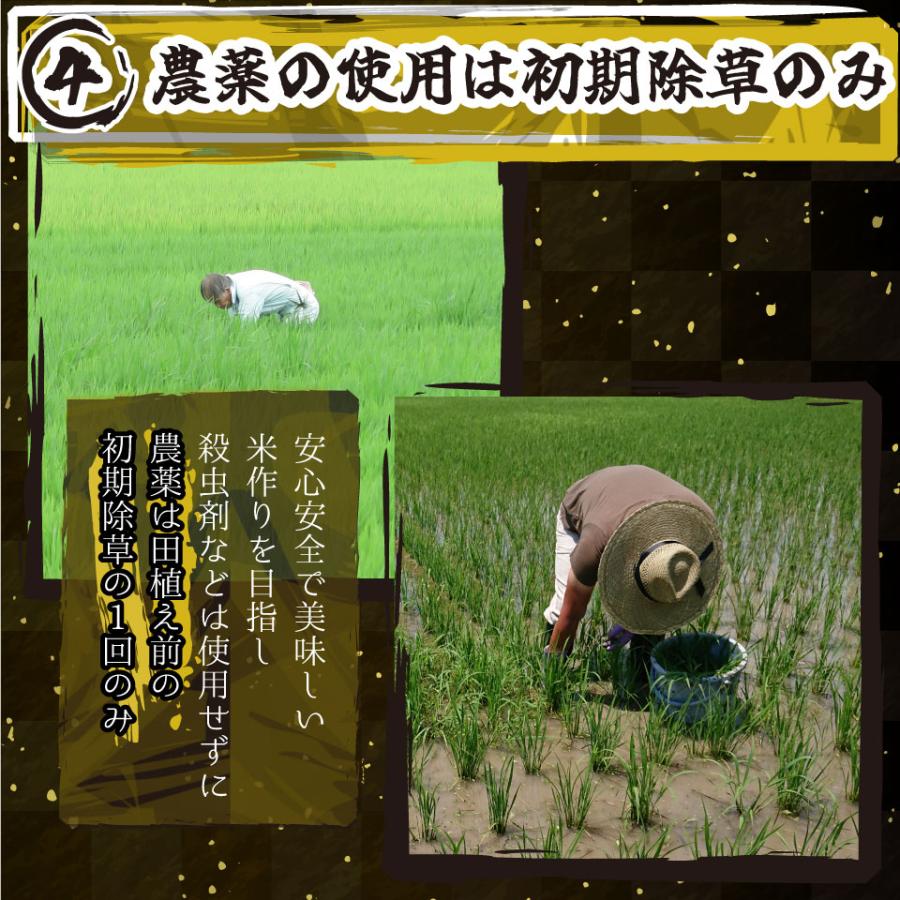 米 令和6年新米 送料無料 新潟県 南魚沼 しおざわ産プレミアムコシヒカリ 玄米30kg ご飯 お米　魚沼産コシヒカリ