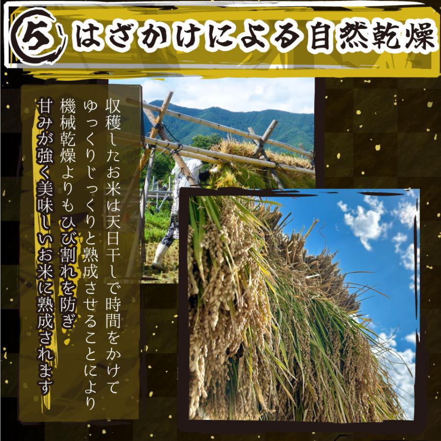 米 令和6年新米 送料無料 新潟県 南魚沼 しおざわ産プレミアムコシヒカリ 玄米30kg ご飯 お米　魚沼産コシヒカリ