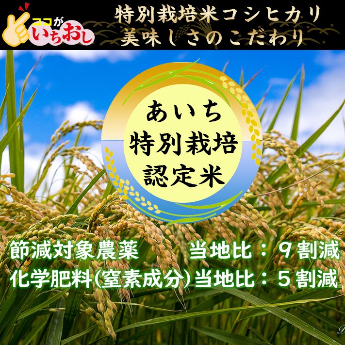 米 令和5年 お米 10kg 送料無料 農薬９割減特別栽培米 コシヒカリ 白米 
