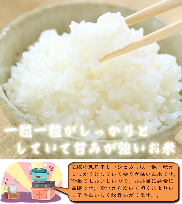 小物などお買い得な福袋 【精米無料】令和3年度産 新潟県産コシヒカリ玄米20kg - 米 - www.qiraatafrican.com