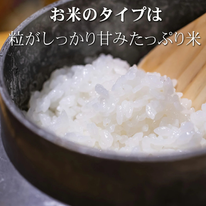 米 令和５年 お米 30kg コシヒカリ 玄米 30kg 新潟県佐渡産天日干 