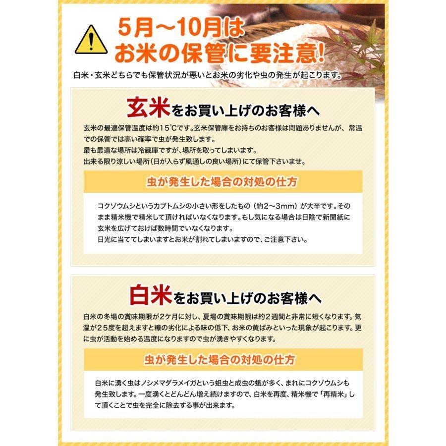 新米 令和５年 米 お米 30kg コシヒカリ 玄米 30kg 新潟県佐渡産天日干