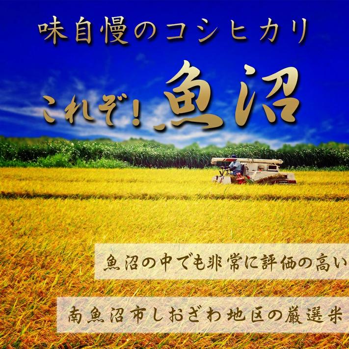 米 令和5年 コシヒカリ 玄米20kg 新潟県南魚沼 しおざわ産 コシヒカリ