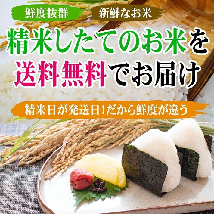 米 令和5年 お米 30kg コシヒカリ 新潟県安塚産棚田米 コシヒカリ 玄米