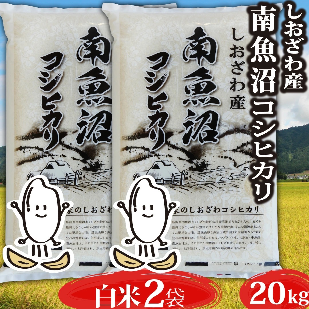 特売日2019年度 新潟コシヒカリ 20kg 米/穀物