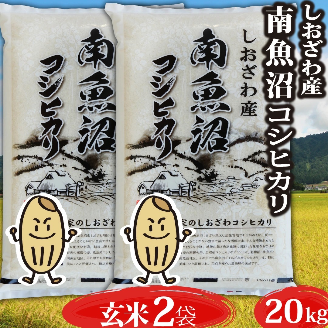 米 令和5年 コシヒカリ 玄米20kg 新潟県南魚沼 しおざわ産 コシヒカリ