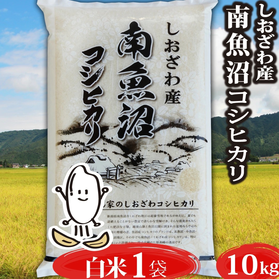 米 令和5年 コシヒカリ 玄米10kg 新潟県南魚沼 しおざわ産