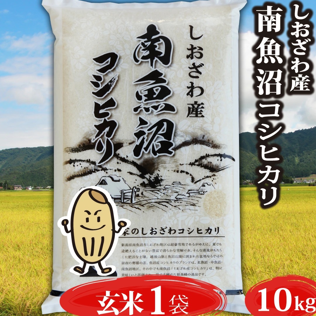 米 令和5年 コシヒカリ 玄米10kg 新潟県南魚沼 しおざわ産