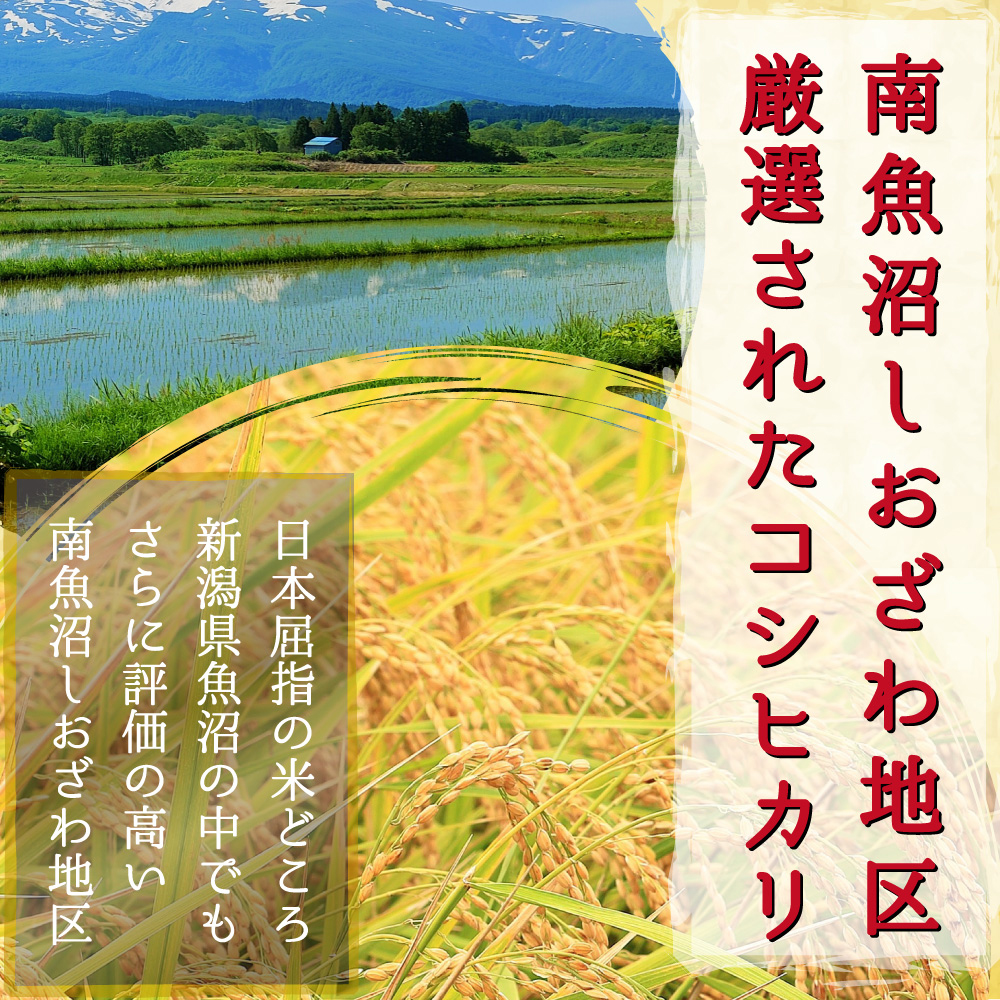 米 新米 令和6年 お米 20kg 新潟県 魚沼産コシヒカリ 魚沼産 しおざわ 塩沢 魚沼コシヒカリ 白米20kg 玄米20kg 米 おこめ お米 20kg 白米 送料無料