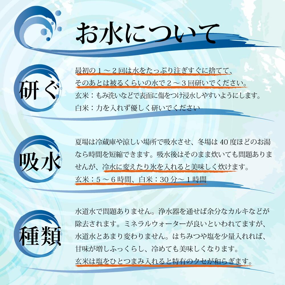 米 令和6年新米 送料無料 新潟県 南魚沼 しおざわ産プレミアムコシヒカリ 玄米30kg ご飯 お米　魚沼産コシヒカリ