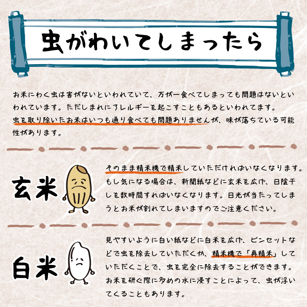 米 令和6年新米 送料無料 新潟県 南魚沼 しおざわ産プレミアムコシヒカリ 玄米30kg ご飯 お米　魚沼産コシヒカリ